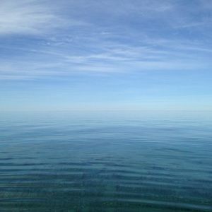 Meet your Posher, Wanda